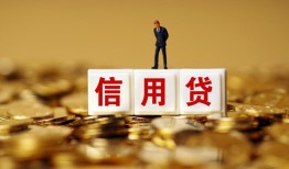 成都短拆大额短借-成都短拆短借空放-成都短拆哪里有小额贷款
